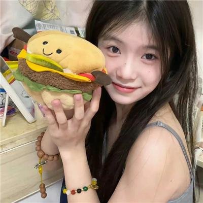 龙猪飞上天